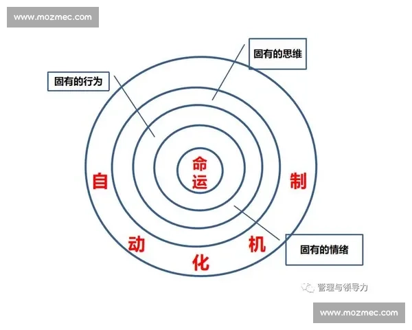 从拼搏与成长的视角探讨比赛存在的真正意义与价值对个人与社会的影响